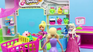 Barbie Shops with Frozen Elsa Magic Clip Doll DisneyCarToys Polly Pocket For Clothes and Shopkins