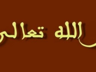 Amitie des peuples coran quran islam