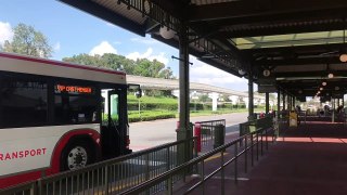 Some Irma Battered Blades at the Magic Kingdom Bus Depot