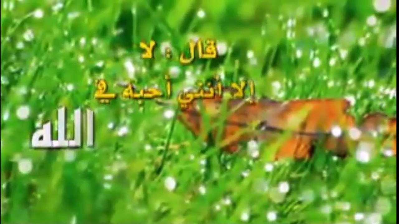 اتعلم ان الله يحبك اذا احببت ذالك العبد الضعيف او قمت بذلك العمل البسيط