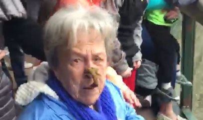 Chimp At Zoo Throws Poo In Grandma’s Face