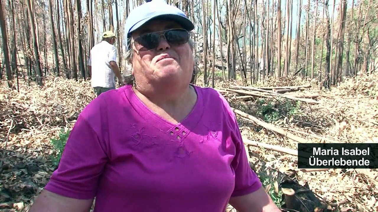 Portugal: Schwieriger Neustart nach Waldbrandinferno