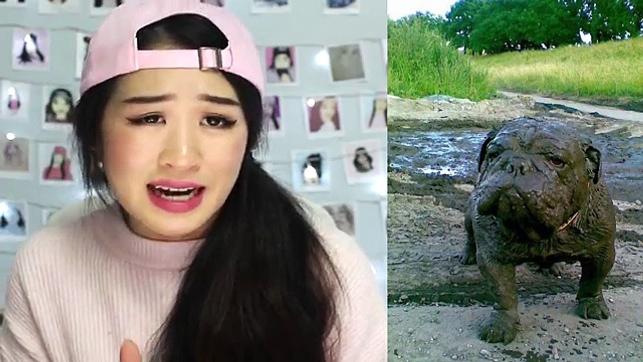 Dix chien dans laisser boue jamais jouer les raisons devrait le le le le la vous vous vous votre