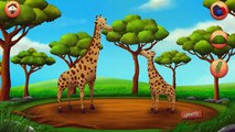 Learn Animals Names & Sounds for Children - Learn Wild Animals - English Class Animal Name And Sound
