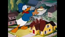 ᴴᴰ Donald Duck & Chip and Dale Cartoons - Donald Nephews Plu
