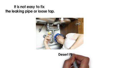 Desert Plumbers Peoria AZ