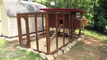 Backyard chickens - Chicken coop tour- Easy to clean