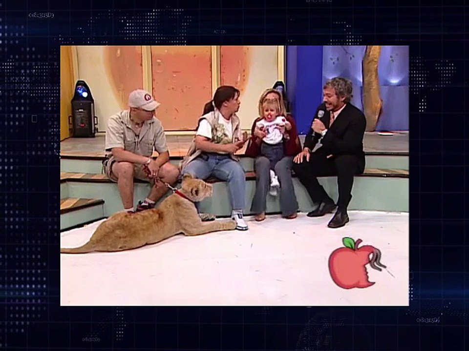 Lav napao dijete u emisiji