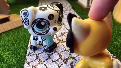 Okul Maceraları Bölüm 1 - Minişler Cupcake Tv - Littlest Pet Shop LPS