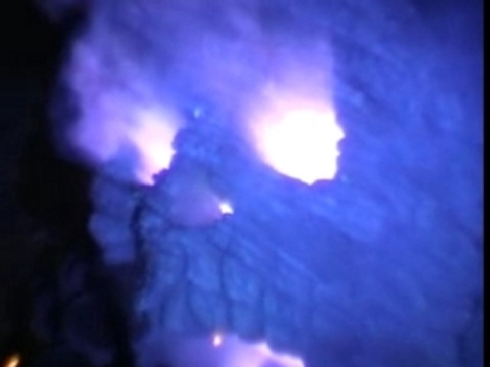 Tetemort