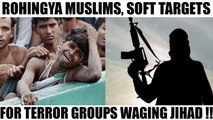 Rohingya crisis: Terror groups eye refugees to wage Jihad | Oneindia News