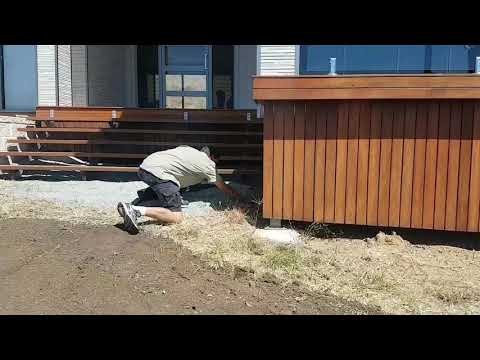 Highly Venomous Snake Makes Best Attempt to Escape Snake Catcher