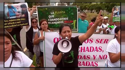 Perú se suma a la corriente para legalizar la marihuana