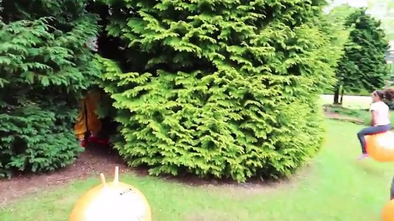 Scary Killer Clown On Our House Roof - Crazy Creepy Clown Attacks Family (SKIT)