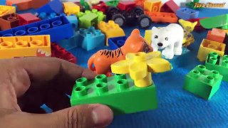 Construire amis enfants jouer examen sanctuaire idiot jouets arbre Lego jungle