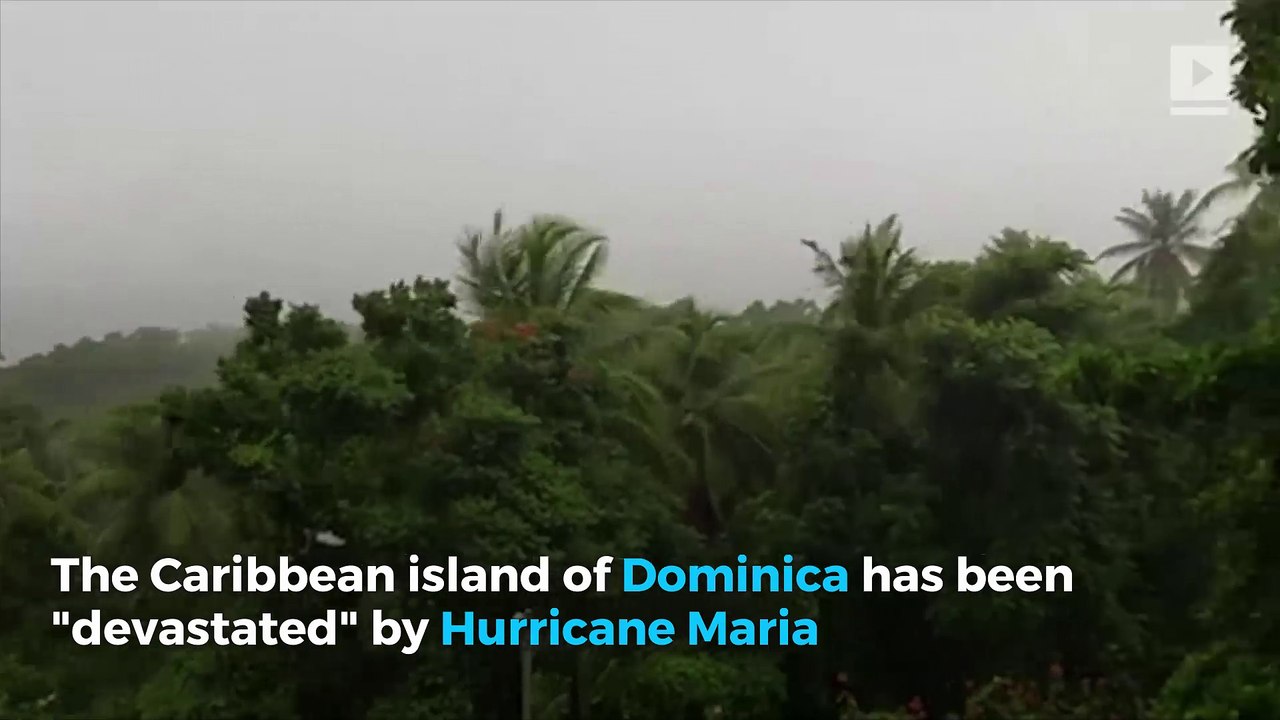 Hurricane Maria Devastates Dominica Island Video Dailymotion