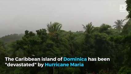 Hurricane Maria 'devastates' Dominica island