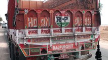 India - Bikaner Karni Mata rat temple