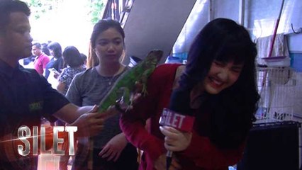 Lihat Hewan Reptil, Syabilla Barbie Takut - Silet 19 September 2017