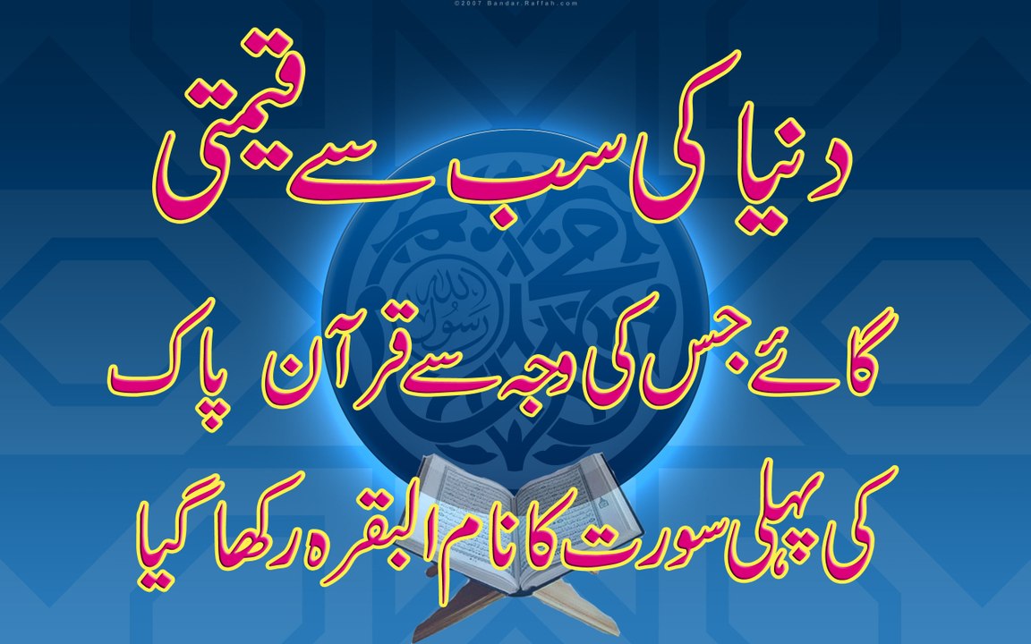 Dunya Ki sab se qeemti gaaye ka Qurani Waqia.Hazrat mousa A.S ke door k waqia.Historical documentary