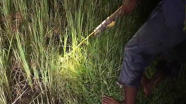 fishing in cambodai - Cambodian Traditional Fishing (part 15)