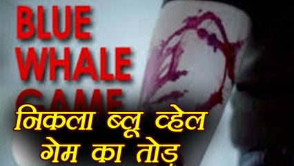 Pakistani teen develops an Anti-Blue Whale game | वनइंडिया हिंदी