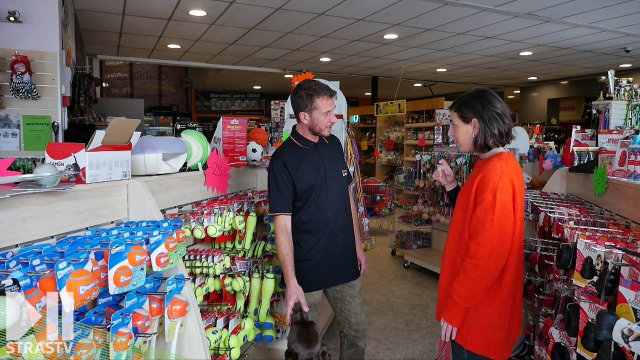 Reportage coup de coeur : CYNO-PRO