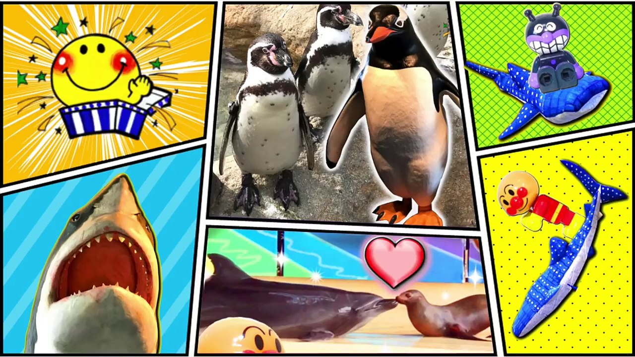 アンパンマン 水族館へおでかけ★お魚やサメ、イルカを見るよ！楽しいショーでみんな水遊び楽しそう★ 人気動画 連続再生Aquarium