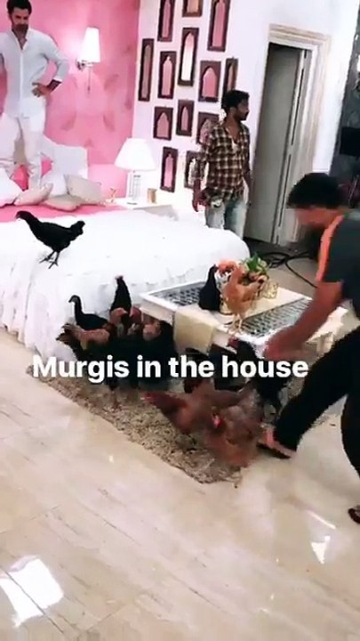 IPKKND 3 BTS - Chicken Attack on Advay