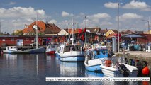 Brexit shock: Danish fishermen demand access to British waters in return for EU trade deal