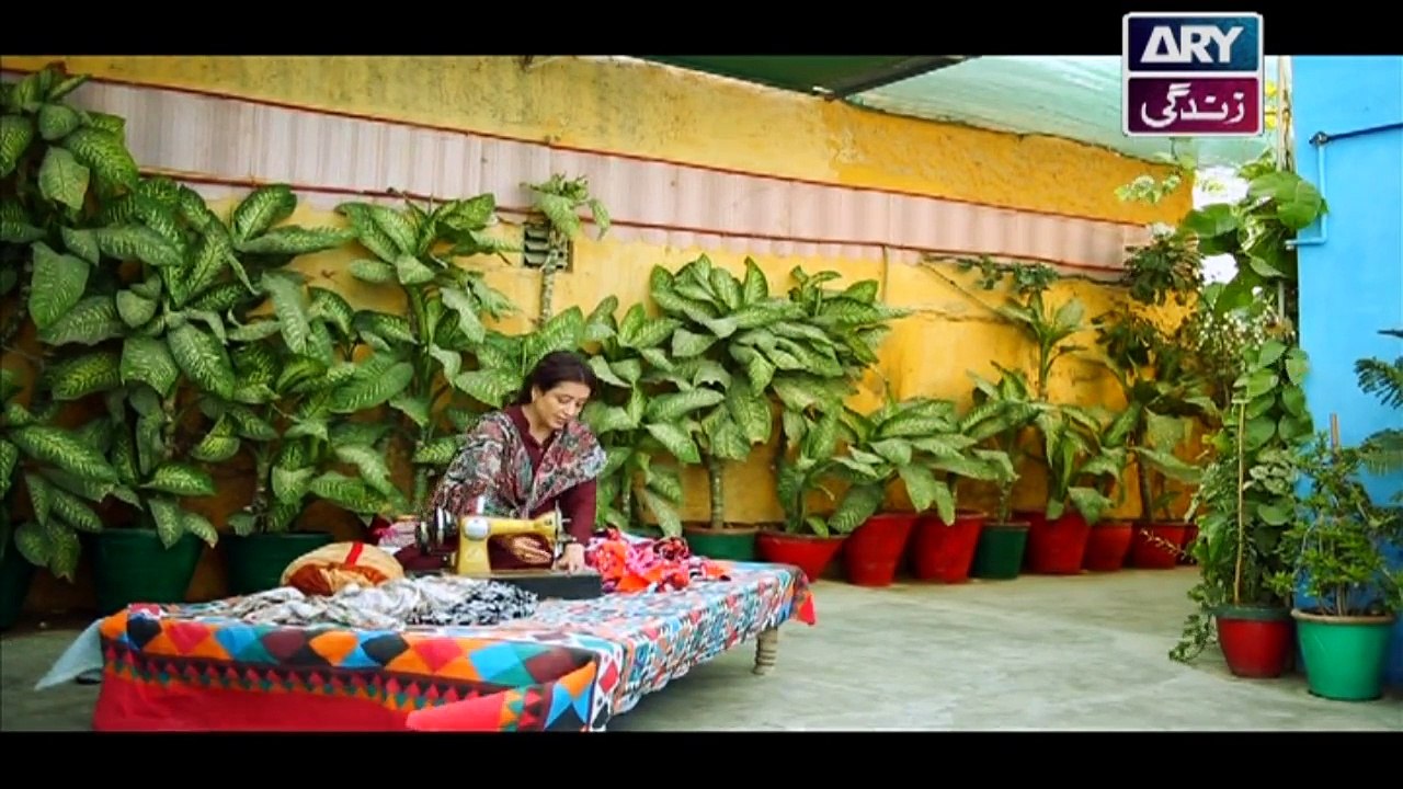 Riffat Aapa Ki Bahuein - Episode 55 on ARY Zindagi in High Quality - 19th September 2017