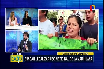 Alberto de Belaunde: “Cannabis medicinal evitará que pacientes acudan al mercado negro”