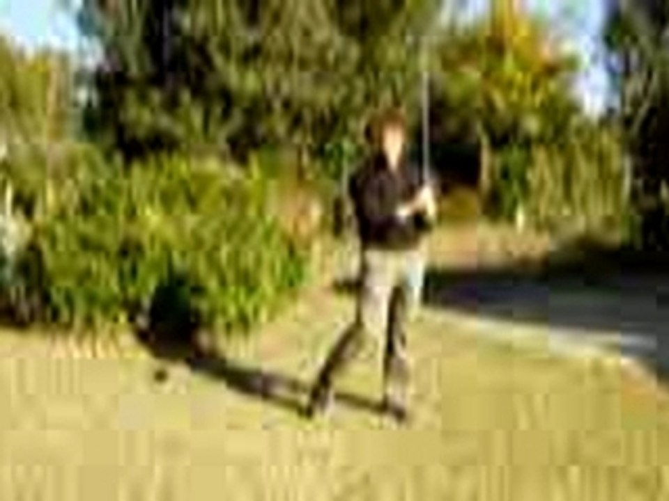 S et T vu par Biggolf