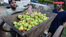 Douarnenez. Ils font du jus de pomme à l'ancienne