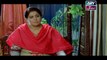 Haya Kay Rang Episode 154 In High Quality on Ary Zindagi 19th September 2017
