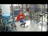 10ml Small Vape Eliquid bottle RVF filling capping machine RELIANCE
