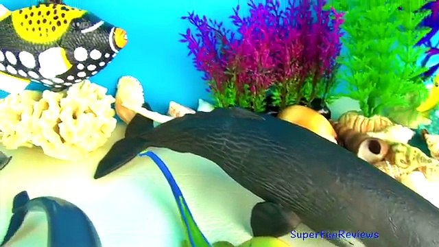 Poisson pour enfants requin jouets baleine 12 collection orque nemo requin requin