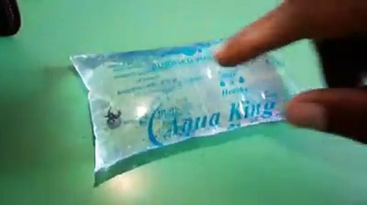 Snake in Water pack..