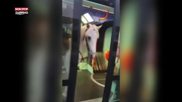 Un homme monte dans le tramway à dos de cheval (Vidéo)