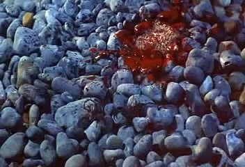 Clash of the Titans - Scorpions