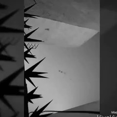 strange sounds from the sky