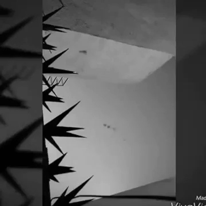 strange sounds from the sky