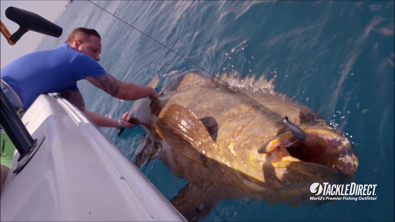 Il peche un mérou géant... Regardez la taille du poisson