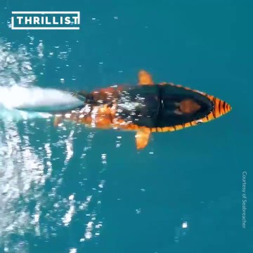 Des jets ski sous-marins incroyables : entre le requin et le jet!