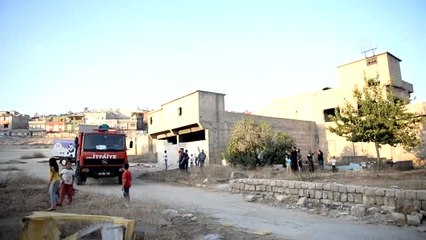 Boynuna Kemer Bağlanıp Mağaraya Atılan Köpek Kurtarıldı