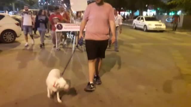 İzmir'de Hayvanseverler, Tekme Atılan Mia İsimli Köpek İçin Yürüdüler