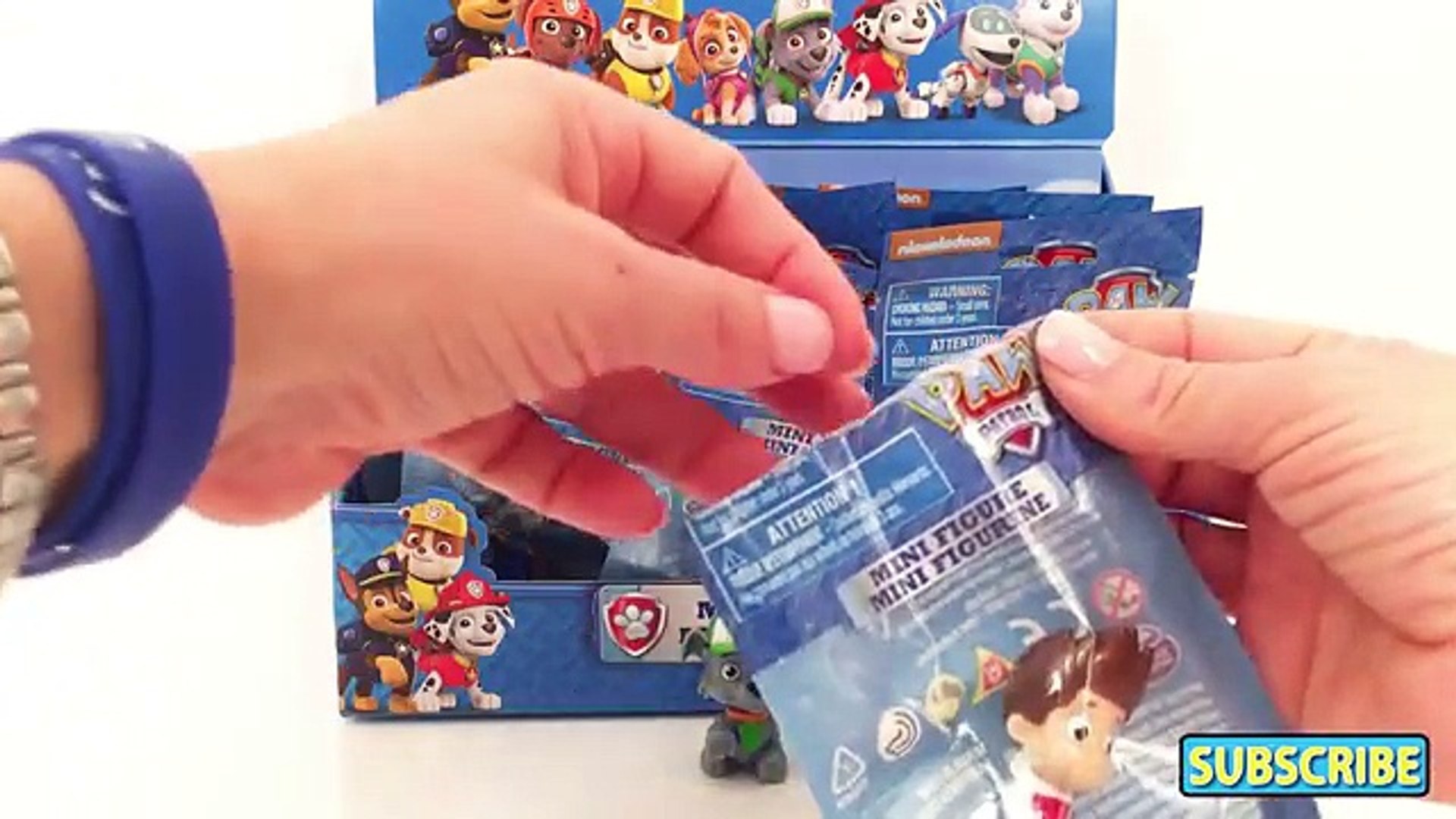paw patrol blind box
