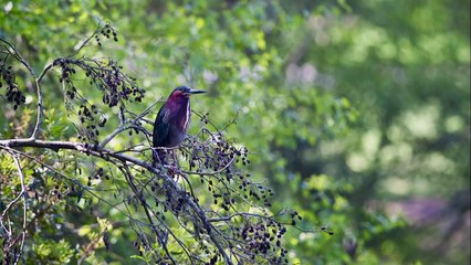 Waiting for Gods best (Dr. Stanley: Through the Lens)