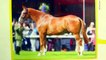 Breyer Horse Unboxing Best of British Irish Draught Model Review Honeyheartsc Video