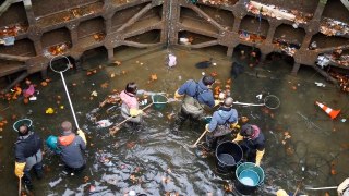 They Drained This Canal For The First Time In Decades, And What They Discovered Is Truly B